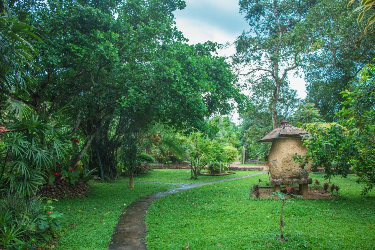 Randiyaepiliyagoda Resort Avissawella Exterior photo